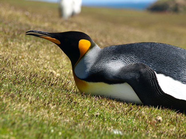 ../../Pictures/241209/042 Koenig.JPG